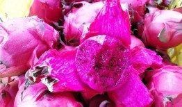 娱乐吃瓜火龙果,揭秘娱乐圈那些不为人知的幕后故事