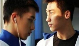 网络剧上瘾在线观看,揭秘现代都市爱情的诱惑与挣扎