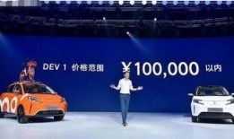 特斯拉销售爆料案例视频