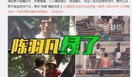 大军哥爆料本溪视频播放,本溪视频播放背后的故事
