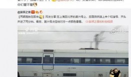 网友爆料高铁视频,紧急制动，乘客惊呼不已！